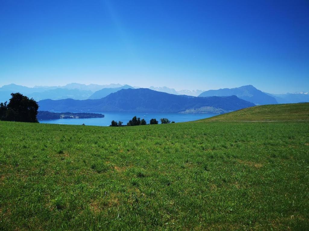 Apartmán Marmottin Lucern Exteriér fotografie