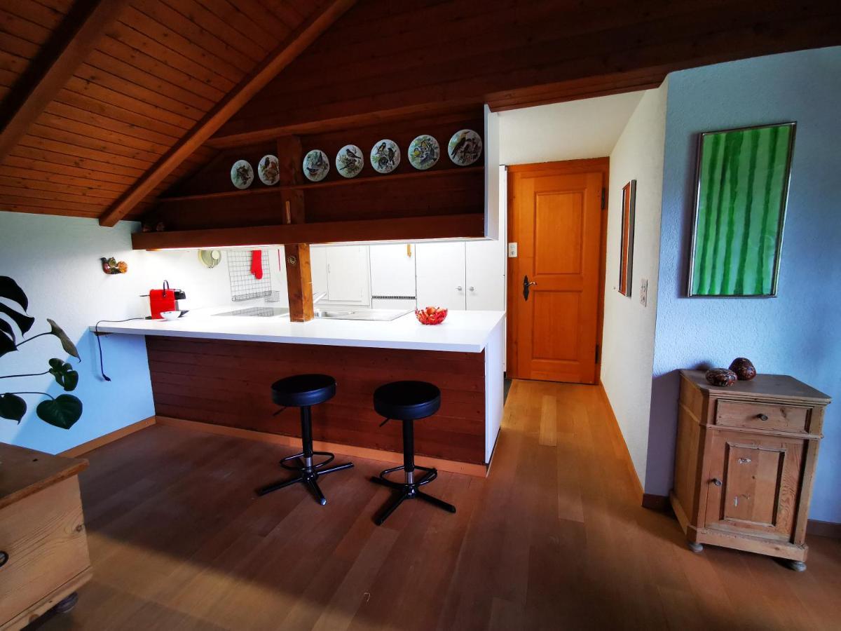 Apartmán Marmottin Lucern Exteriér fotografie